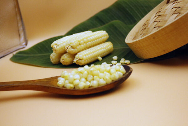 Ngô Nếp Kamenozoki - Hương Vị Tinh Tế Từ Nhật Bản