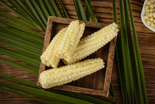 Ngô Nếp Nhật Bản - Hương Vị Tinh Tế Từ Xứ Sở Hoa Anh Đào