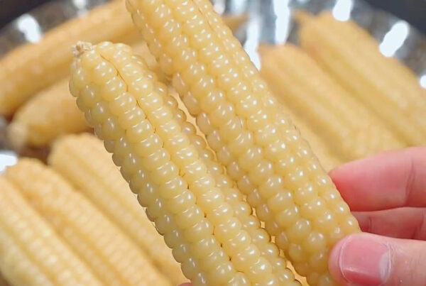 Ngô Nếp Nhật Bản Kamenozoki - Hương Vị Truyền Thống Đậm Chất Nhật Bản