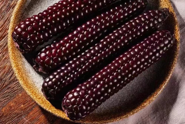 Ngô Nếp Nhật Bản Kamenozoki - Hương Vị Truyền Thống Đậm Chất Nhật Bản